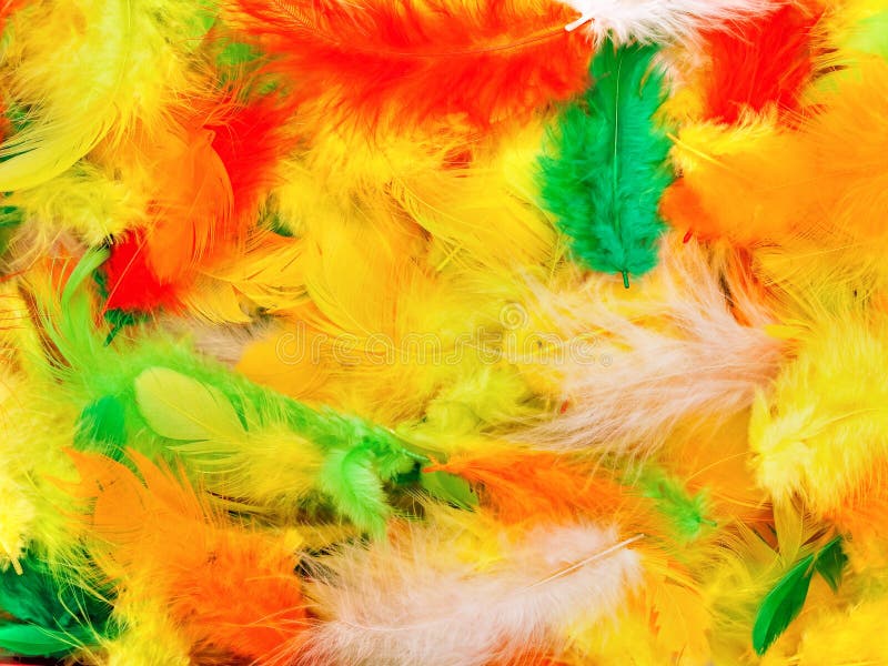 Feathers stock images