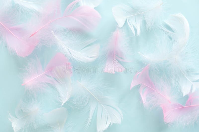 Feathers Abstract Background. Background for Design with Soft Colorfull ...