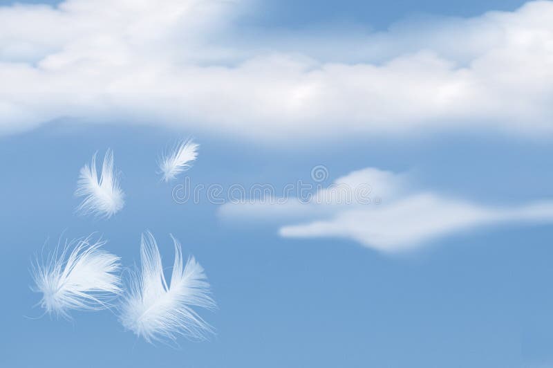 Feathers Floating Into Cloudy Sky