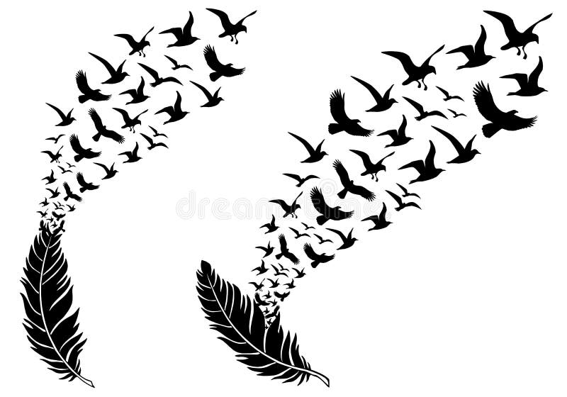 Feathers with flying birds, vector