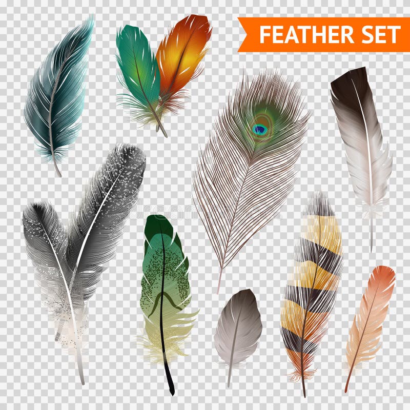 Beautiful Abstract Pastel Green Feathers on Dark Background, Black Feather  Frame Texture on Green Background, Dark Feather, Black Stock Photo - Image  of decoration, black: 195227214