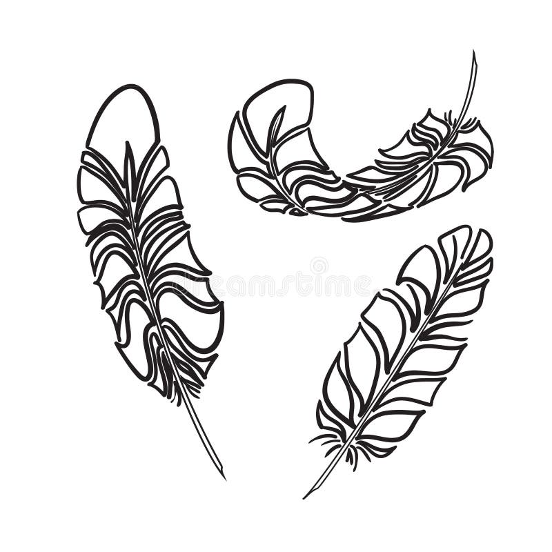 Feathers sketch style. Vector illustration royalty free illustration Feathers sketch style. Vector illustration royalty free illustration