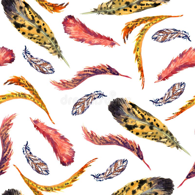 Feathers vaariety collection, white background stock illustration Feathers vaariety collection, white background stock illustration