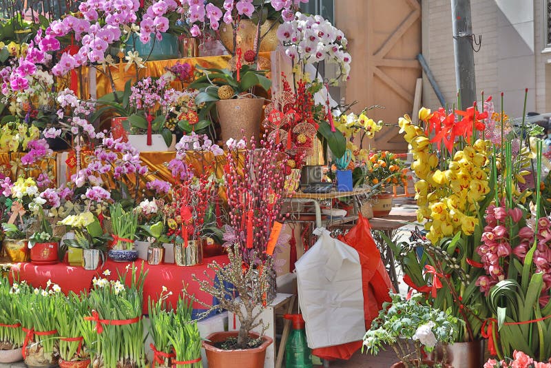 Flower Fair for Chinese New Year, Wan Chai 6 Feb 2021 Stock Image