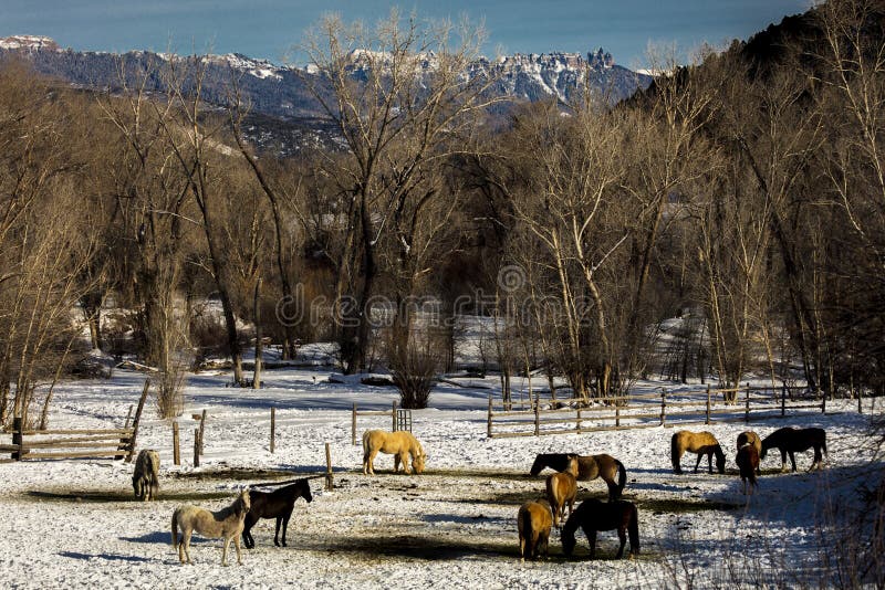 FEB 24, 2019, RIDGWAY, COLORADO USA - Horse Ranch under Cimeron Mountains outside of Ridgway Colorado on State Route 550 royalty free stock photography FEB 24, 2019, RIDGWAY, COLORADO USA - Horse Ranch under Cimeron Mountains outside of Ridgway Colorado on State Route 550 royalty free stock photography