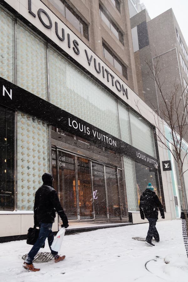 Februari 2019-1 Van Louis Vuitton Snow Storm Canada Toronto 12 Jpg Redactionele Afbeelding ...