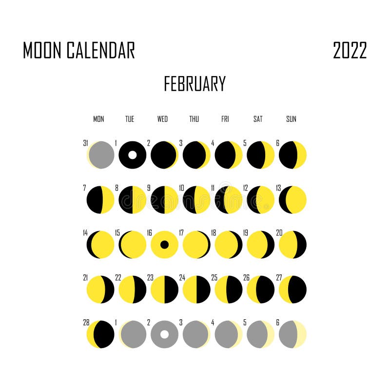 Florida Moon Calendar 2022 February Moon Phases Calendar On Dark Night Sky Stock Vector - Illustration  Of February, 2022: 214185669