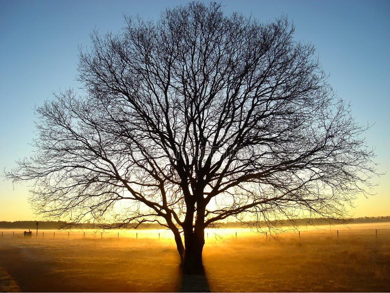 February sunrise royalty free stock image