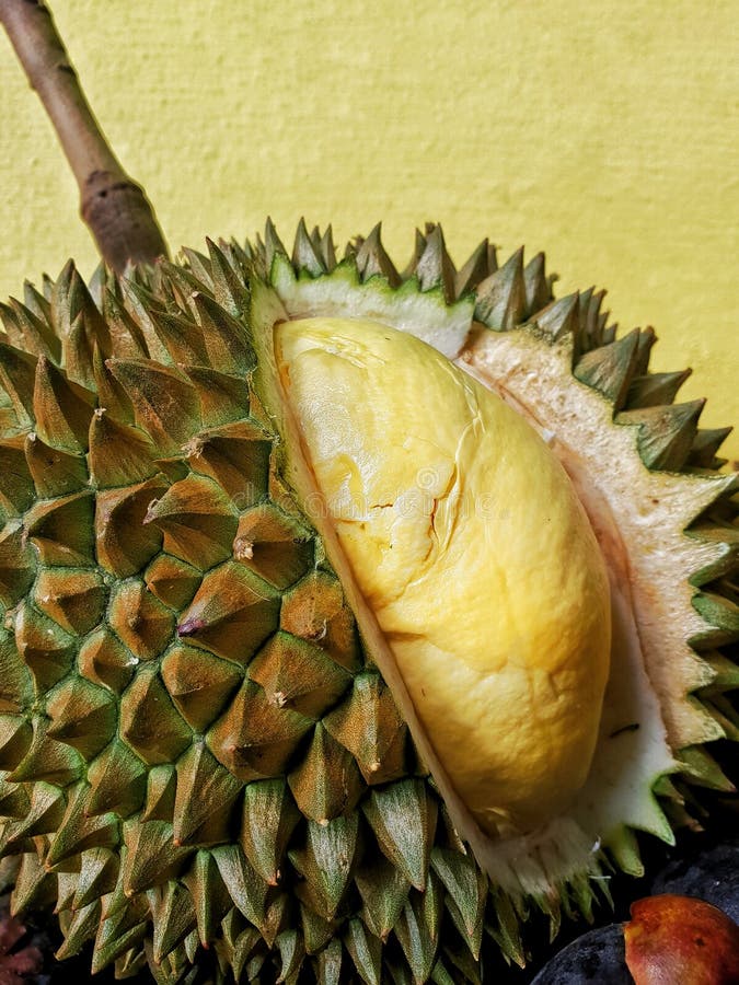 Fechado acima de interno e de externo do durian foto de stock Fechado acima de interno e de externo do durian foto de stock