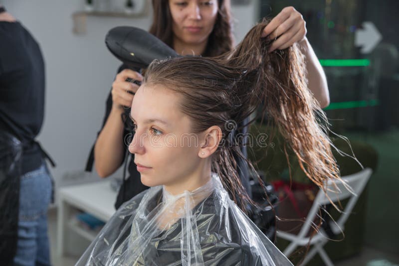 Barbeiro Profissional Que Trabalha Com Um Cliente Em Um Salão De Beleza Do  Cabeleireiro, Usos Um Secador De Cabelo Foto de Stock - Imagem de  profissional, estiloso: 117811236