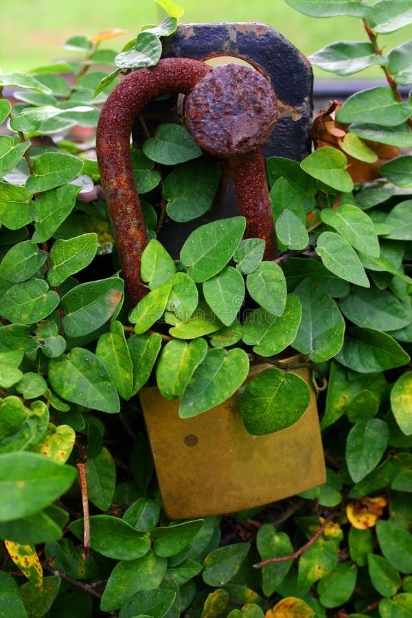 A Bruxa Verde Assustadora Com Roupa Preta E Apontou Chapéu Em Frente à Casa  Imagem de Stock - Imagem de brinquedo, vassoura: 200187571