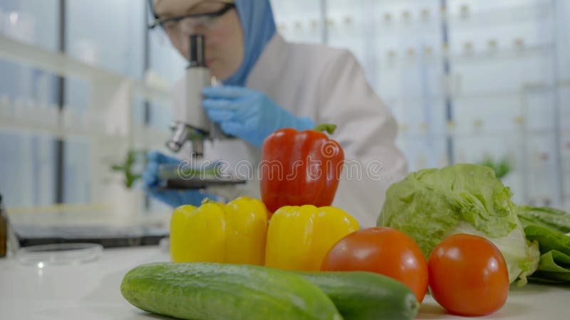Fechar cientista feminina em um lenço muçulmano estuda vegetais num microscópio