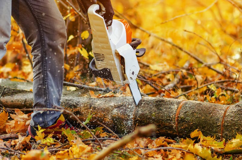 Fechar uma serra de madeira velha cortando uma serra imagens de stock royalty free