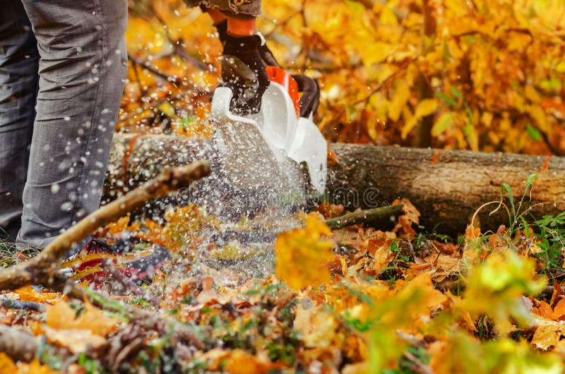 Fechar uma serra de madeira velha cortando uma serra imagem de stock royalty free