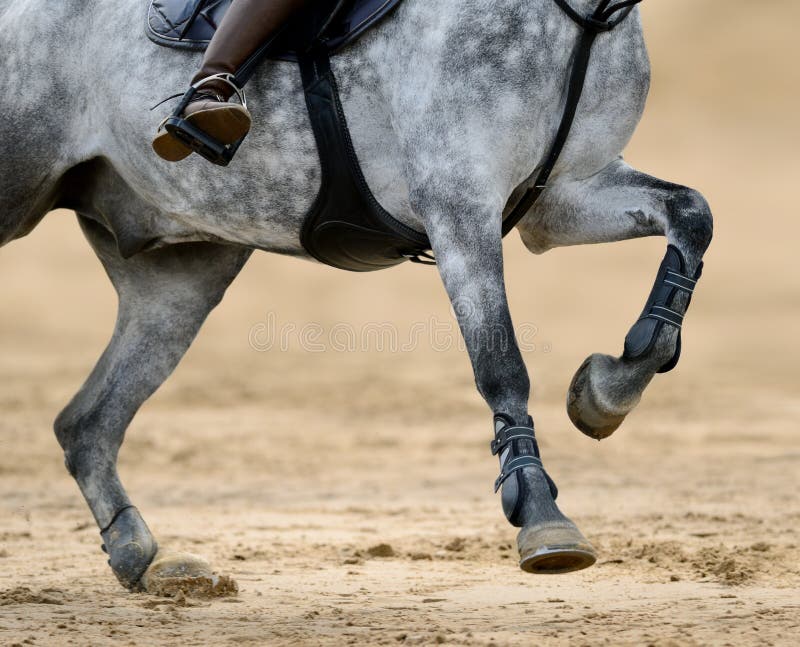 Feche acima da imagem dos pés do cavalo na competição de salto de mostra foto de stock Feche acima da imagem dos pés do cavalo na competição de salto de mostra foto de stock