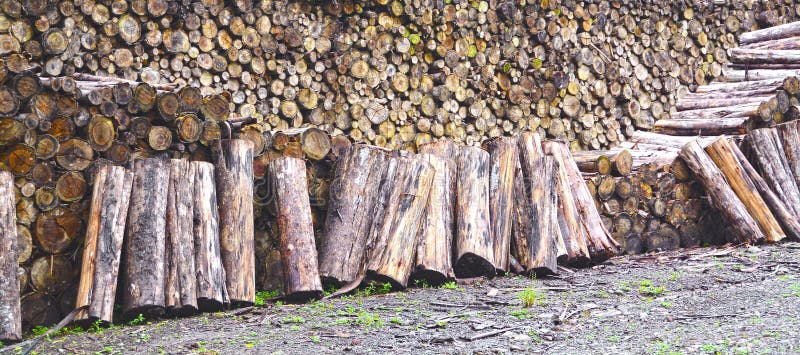 Feche acima da pilha enorme dos logs da lenha fotos de stock Feche acima da pilha enorme dos logs da lenha fotos de stock