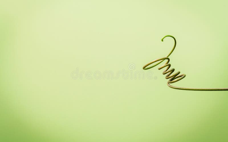 Feche acima da videira conectada na luz - fundo verde conectado imagens de stock royalty free Feche acima da videira conectada na luz - fundo verde conectado imagens de stock royalty free