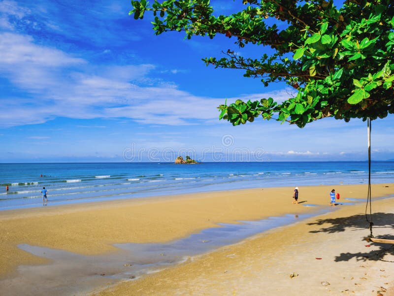 Feche acima da árvore ao lado do oceano idílico no céu bonito no tempo de férias imagem de stock Feche acima da árvore ao lado do oceano idílico no céu bonito no tempo de férias imagem de stock