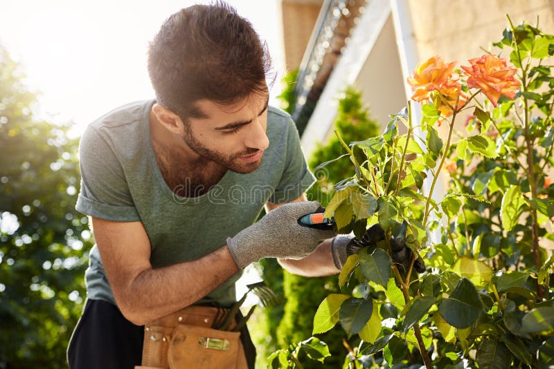 Feche acima do florista farpado bonito no t-shirt azul com as ferramentas de jardim que cortam flores inoperantes, passando a man imagem de stock Feche acima do florista farpado bonito no t-shirt azul com as ferramentas de jardim que cortam flores inoperantes, passando a man imagem de stock