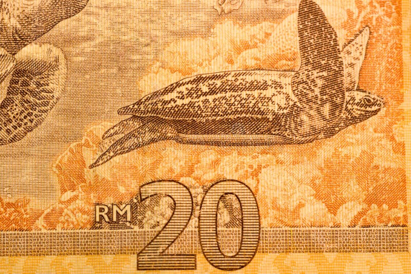 Feche a nota de moeda do Malásia Ringgit MYR fotografia de stock