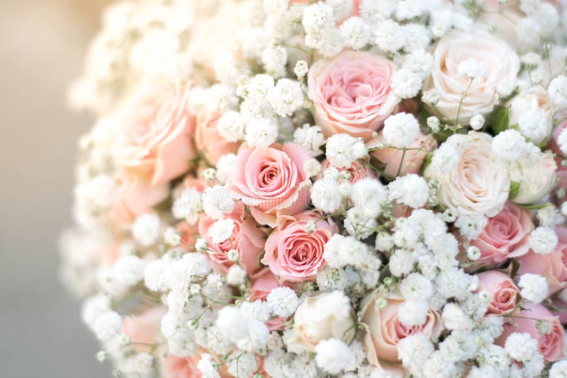 Feche O Buquê De Noiva De Gipsophila E Rosas Rosa-spray Flores. Bouquet De  Casamento Branco E Rosa. Imagem de Stock - Imagem de nave, verde: 216593403