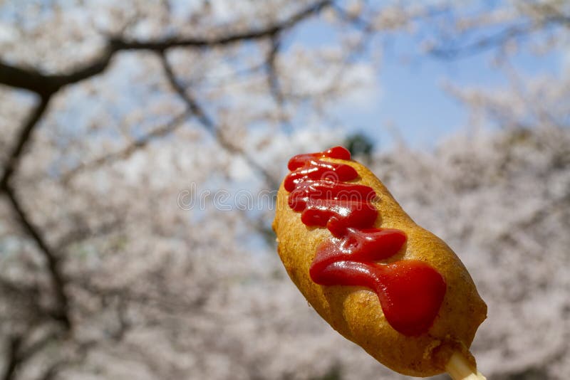 Você já comeu? Hot Dog Coreano - Comida de Rua Coreana, Fácil e