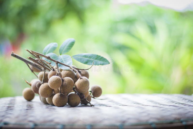 Fecho Do Longan Fresco Na Mesa imagens de stock