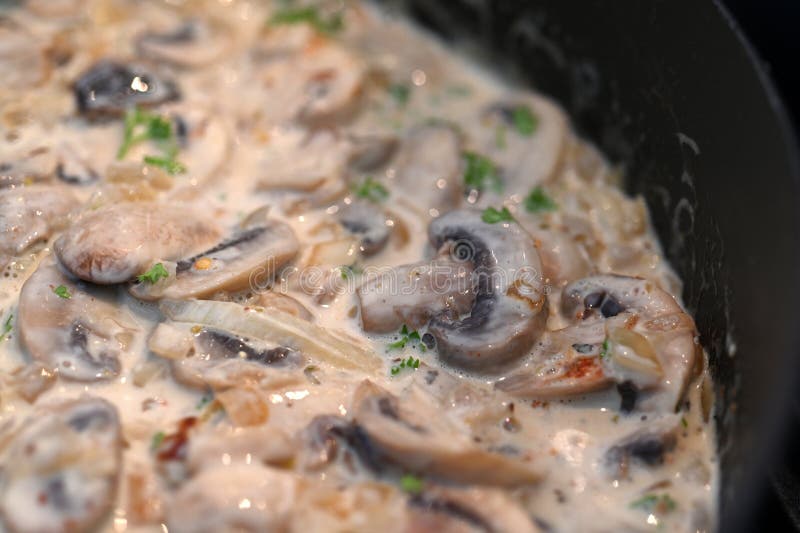 Close up of Creamy mushroom Alfredo sauce simmering in a pot. Close up of Creamy mushroom Alfredo sauce simmering in a pot