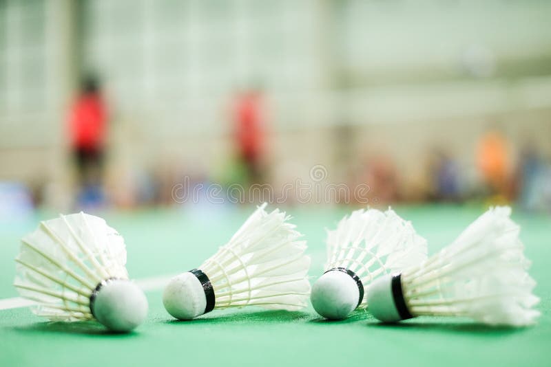 Federball setzte an grünen BodenFederballplatz - für Sport backg lizenzfreie stockbilder Federball setzte an grünen BodenFederballplatz - für Sport backg lizenzfreie stockbilder