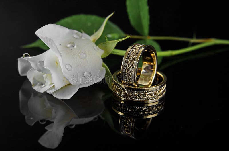 Fedi nuziali con la rosa di bianco immagini stock Fedi nuziali con la rosa di bianco immagini stock