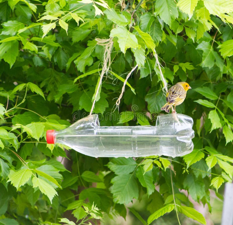 handcrafted bird feeders and waterers made with recycled plastic bottles