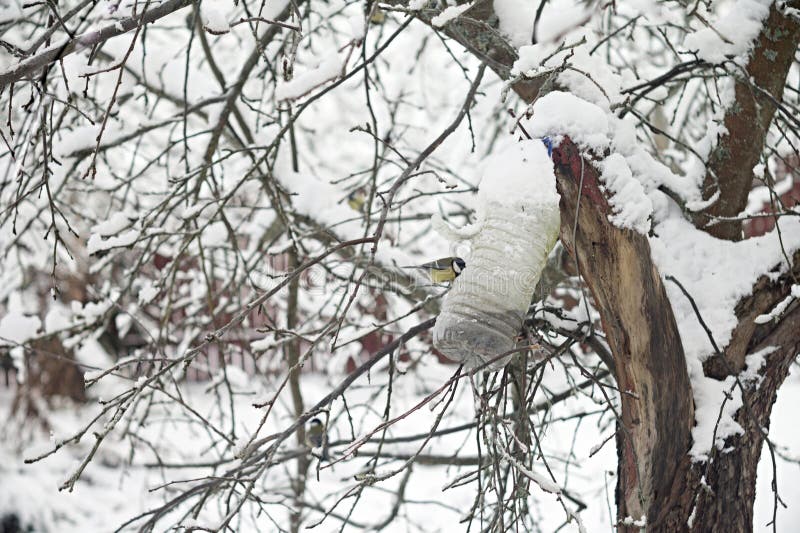 Feeding birds in winter stock photo. Image of winter 204305058