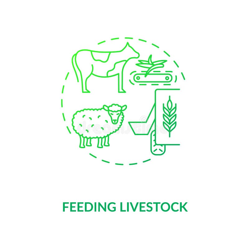Feeding Livestock Stock Illustrations – 418 Feeding Livestock Stock