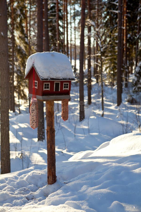 Feeding rack for birds.