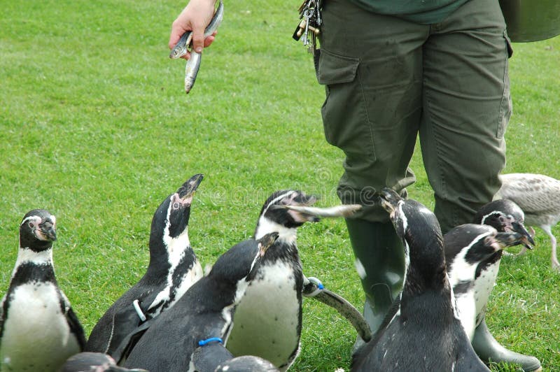 Feeding Time