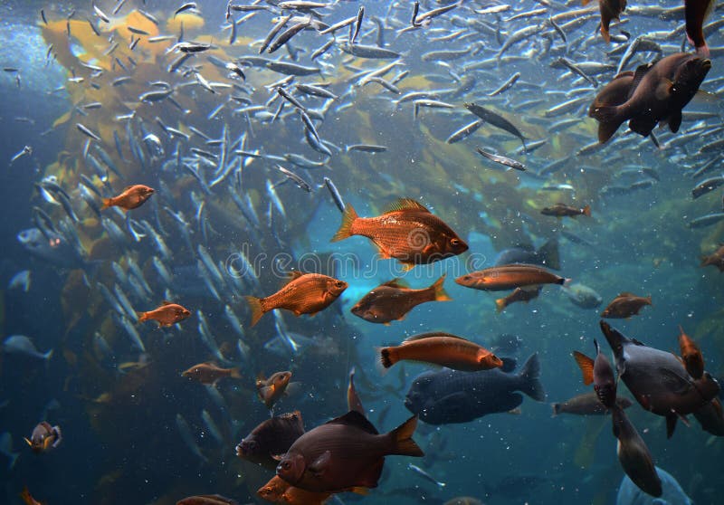 Feeding time is a good time stock image Feeding time is a good time stock image