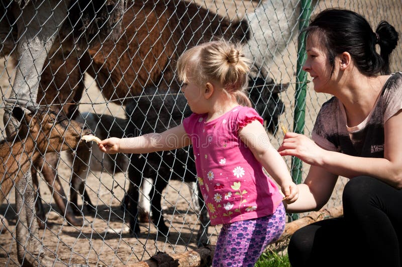 Matka a dieťa dievča, kŕmenie zvierat v zoo.