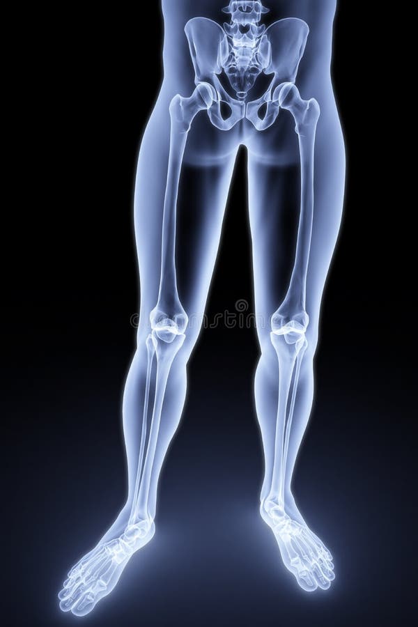 Feet stock illustration