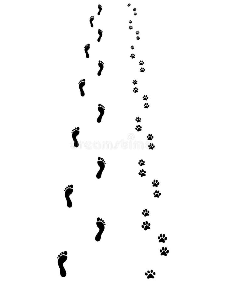 Feet and dog paws stock illustration. Illustration of outdoor 94619541