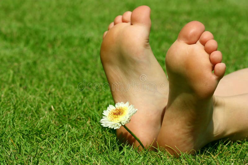 Feet and the flower stock image. Image of light, lawn 23674685