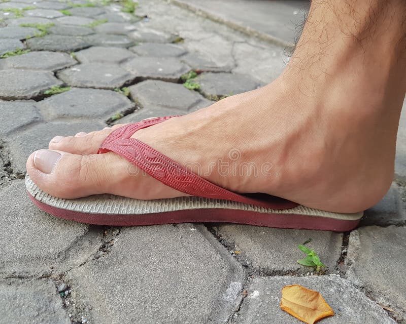 Wearing flip flops stock image. Image of barefoot, girl - 303237897