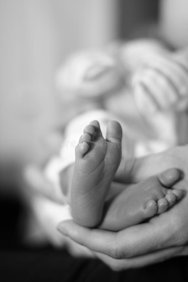 Adult Hands Touching Baby Toes Stock Photo Image of newborn, toes