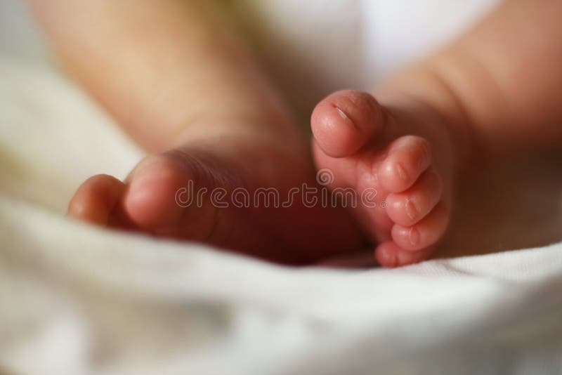 229 Clubfoot Photos Free Royalty Free Stock Photos From Dreamstime