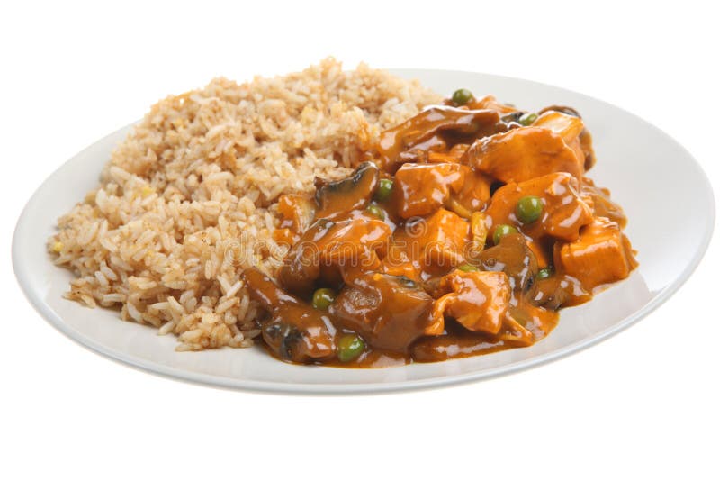 feg kinesisk curry stekt rice arkivfoto feg kinesisk curry stekt rice arkivfoto