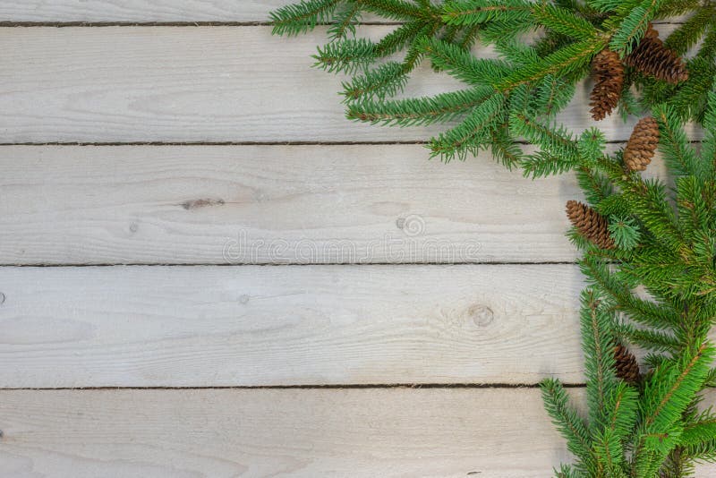 A border of spruce boughs along the right hand side with spruce pine cones on a background of whitewashed boards. A border of spruce boughs along the right hand side with spruce pine cones on a background of whitewashed boards