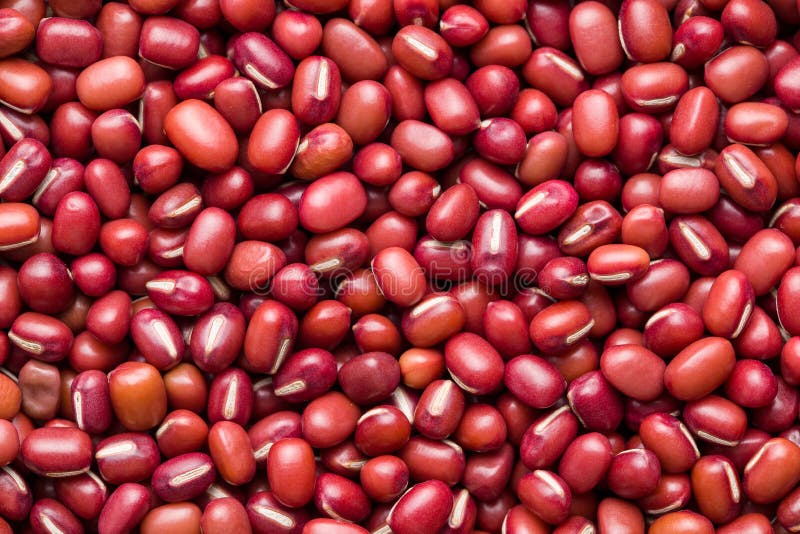 Feij? es de adzuki vermelhos fotos de stock royalty free