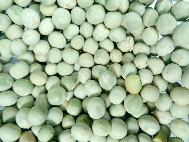 Pulses legumes pea gram lentils beans healthy energy food farm agriculture. Pulses legumes pea gram lentils beans healthy energy food farm agriculture
