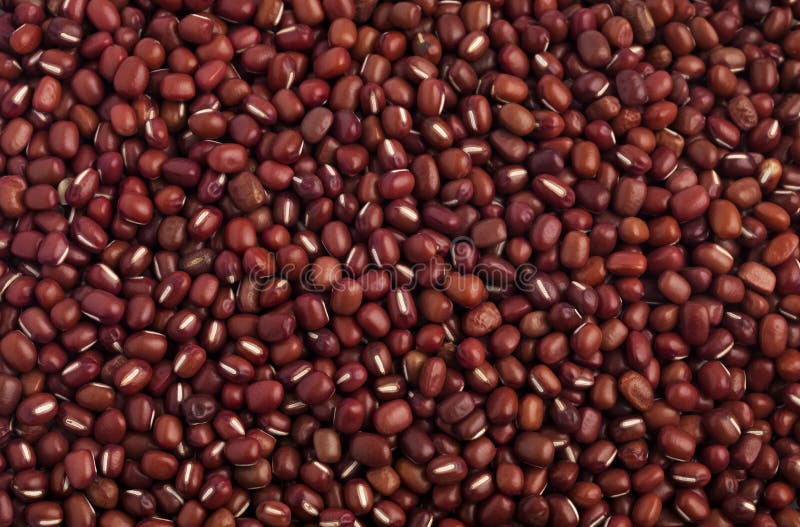 Feijões Azuki foto de stock