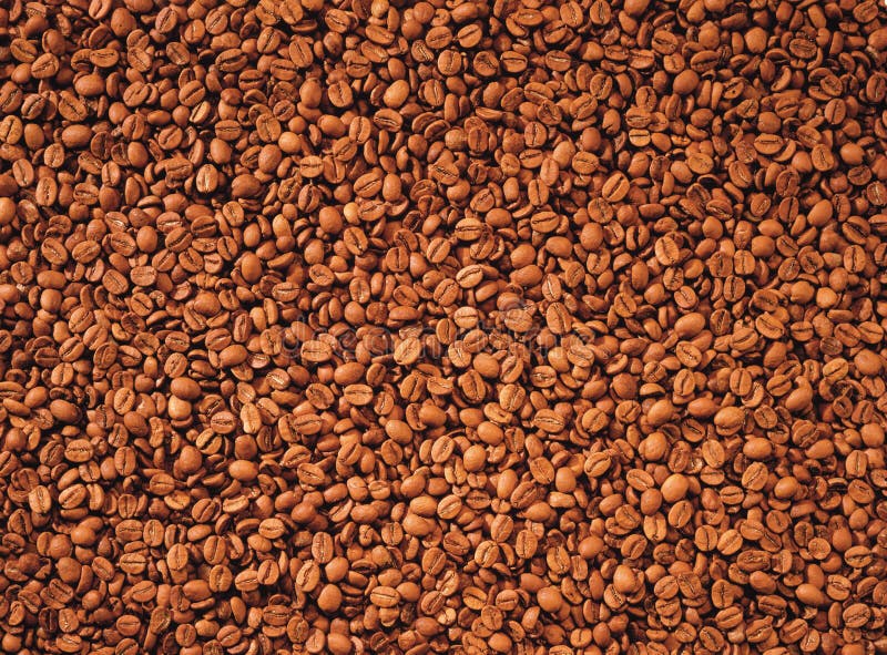 Grãos de café fotos de stock