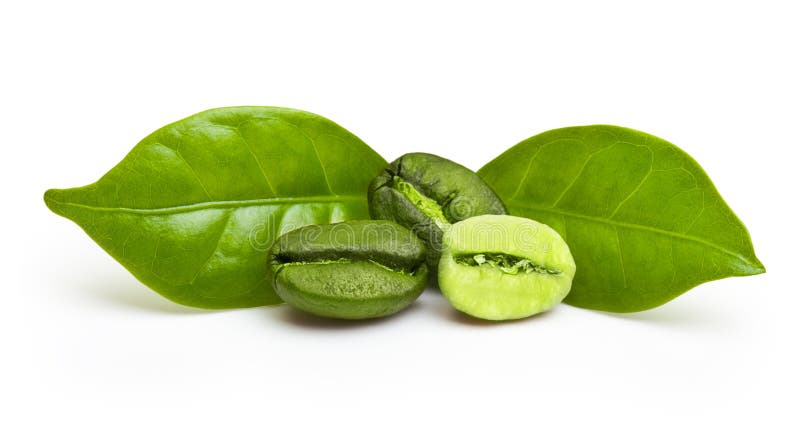 Grãos de café verde com folha imagens de stock